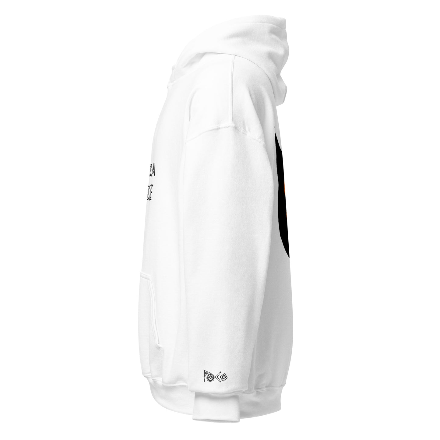 black cat classic hoodie